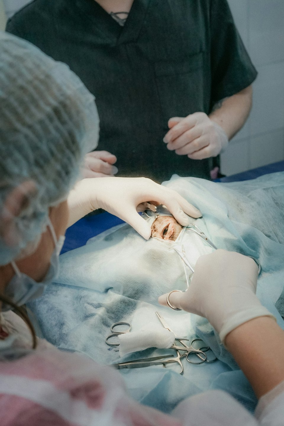Veterinarios realizando una delicada cirugía ocular a una mascota.