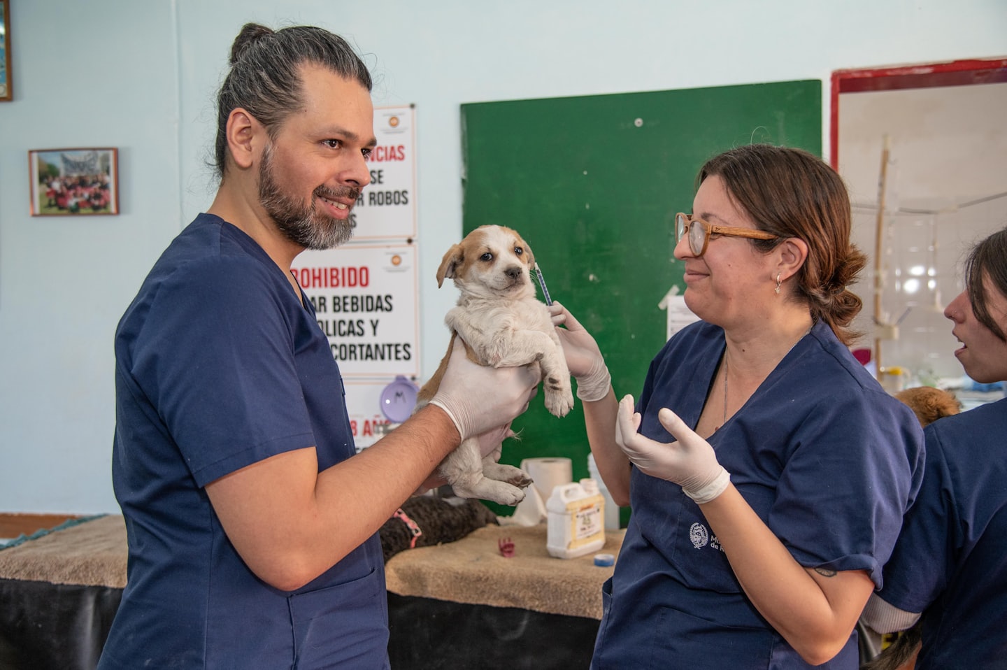 Dos veterinarios vacunan a un cachorro en interiores.